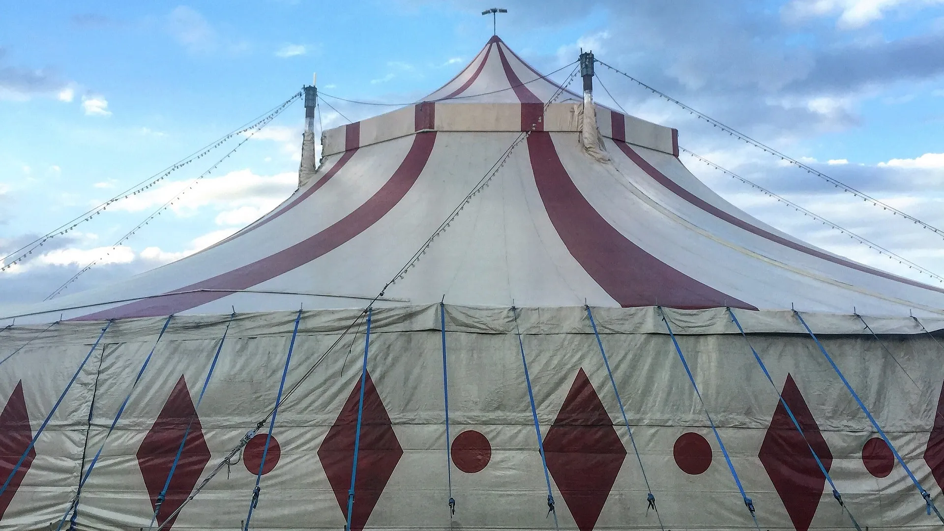 Zirkus_Wildtierhaltung_c.Pixabay_circus-819218_1920